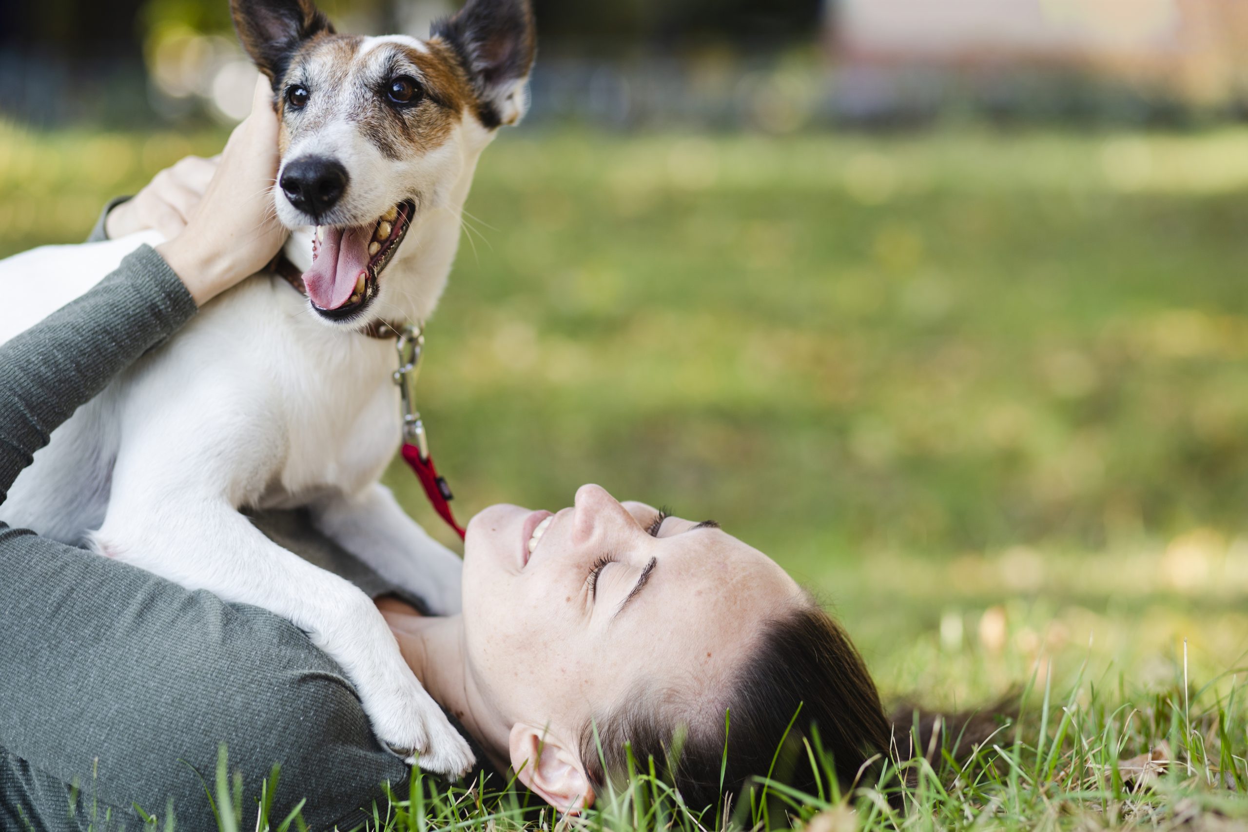 El vínculo cada vez más estrecho entre los humanos y las mascotas