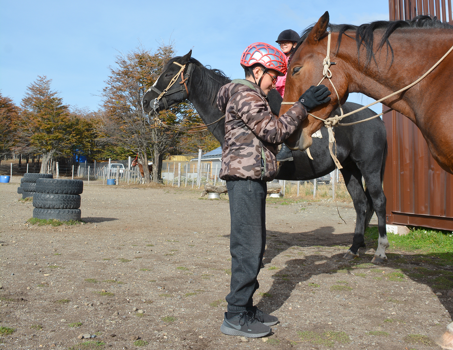 LOS CABALLOS INTUYEN NUESTRAS EMOCIONES: