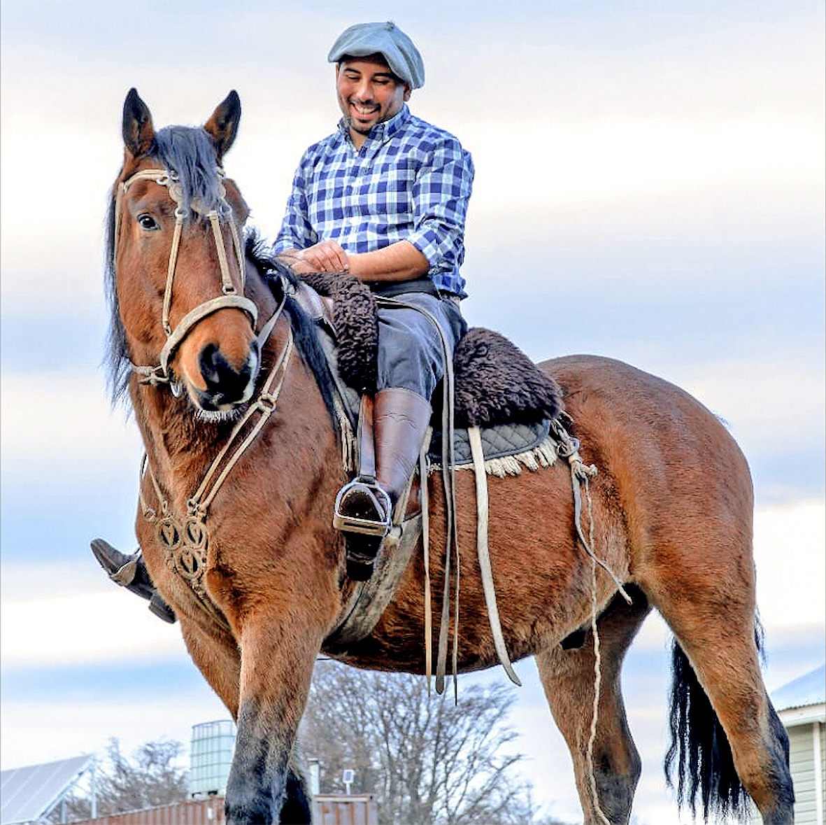 Terapia con caballos para la salud mental 