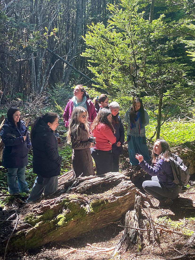 Cuidar los bosques también significa ocuparse de la salud