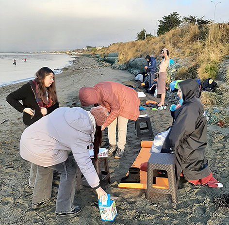 Neurociencia en Magallanes: para entendernos y conocernos mejor